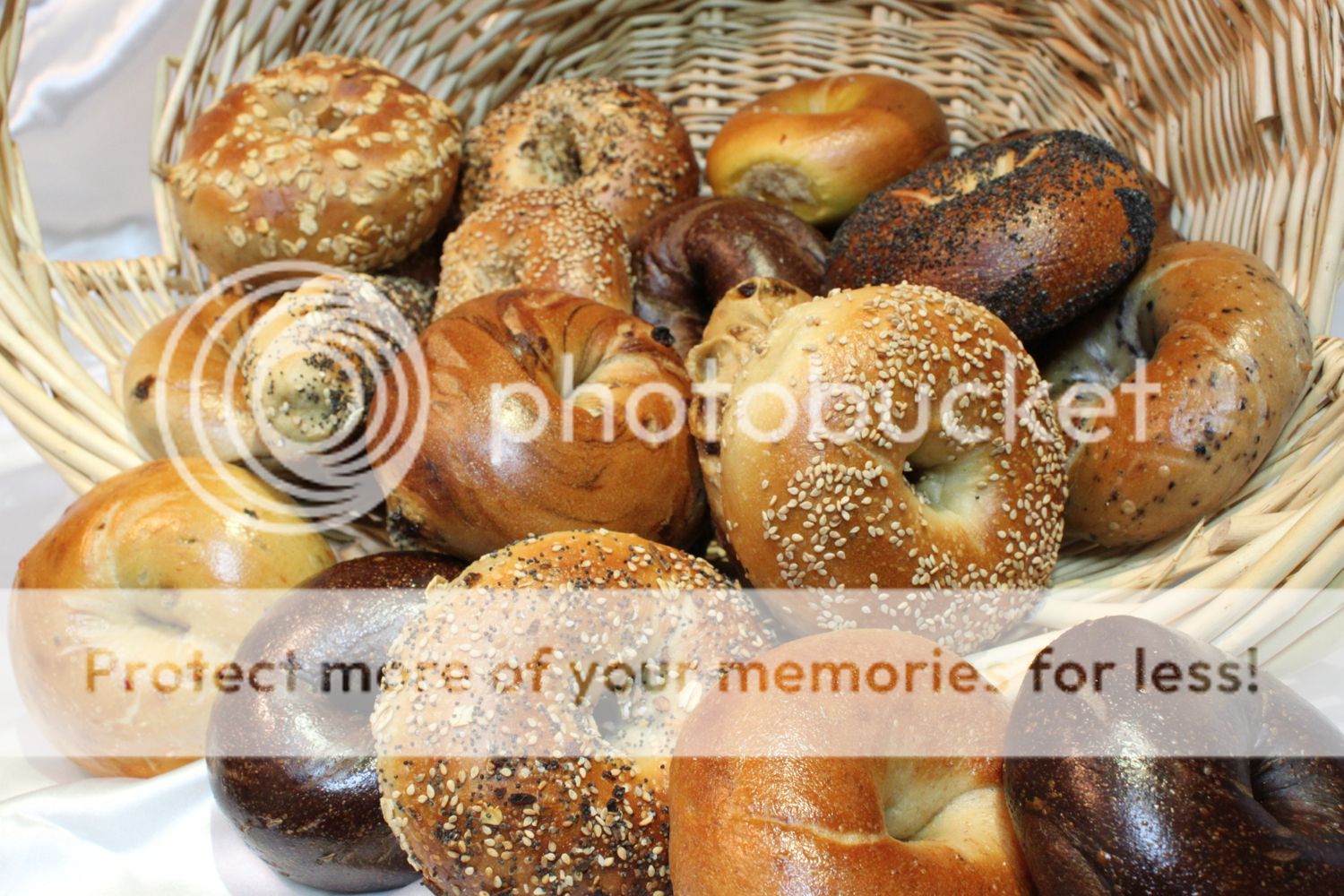 bagel6.jpg~original