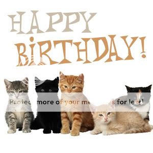 HappyBirthdayCats123-1.jpg