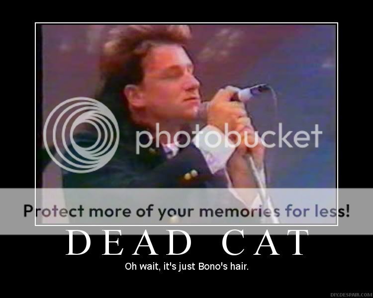 Deadcat.jpg