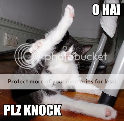 o-hai-plz-knock.jpg