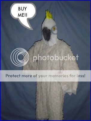 cockatoo-1.jpg