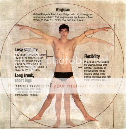 phelps-wingspan.jpg