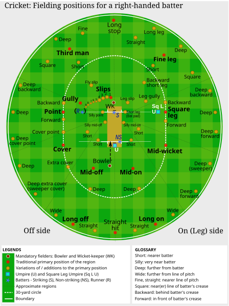 448px-Cricket_fielding_positions2.svg.png