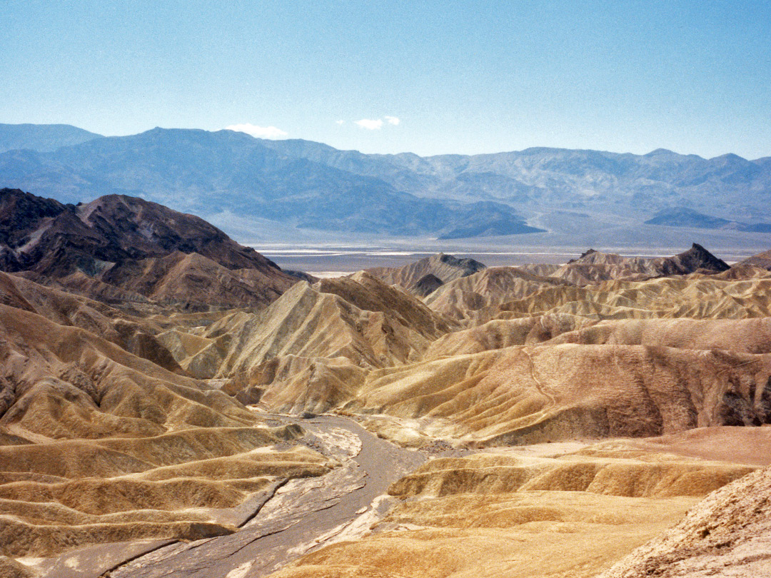 zabriskie.jpg