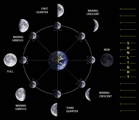 moon_phases_diagram.jpg