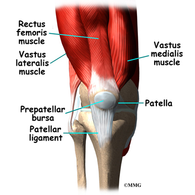 knee_prepatellar_anatomy_01.jpg