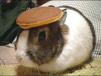 bunny_pancake%5B1%5D.jpg