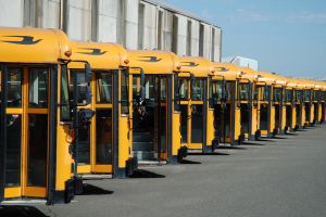 1015489_school_bus.jpg