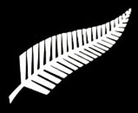 silver-fern.jpg