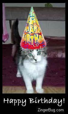 happy_birthday_kitten_photo.JPG