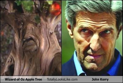 wizard-of-oz-apple-tree-totally-looks-like-john-kerry