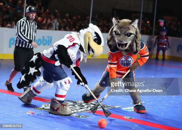 hunter-the-lynx-of-the-edmonton-oilers-and-slaphshot-of-the-washington-capitals-vie-for-the.jpg