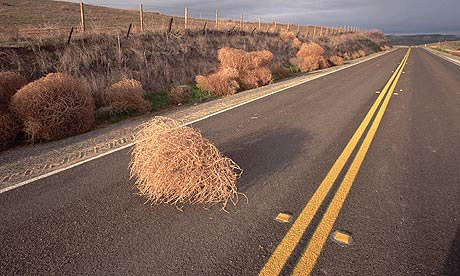 tumbleweed-riverside2.jpg